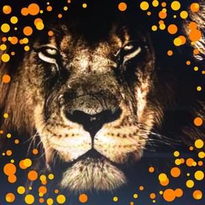 Meet your Posher, Lynn